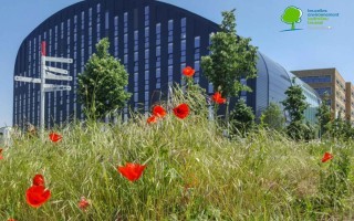 Nouveau guichet pour les demandes de permis dans la Région bruxelloise 